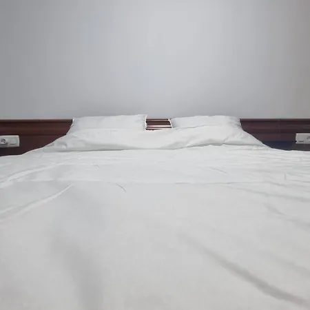 Apartamento La Vizcaina *
